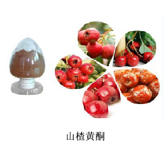 Hawthorn Leaf Extract