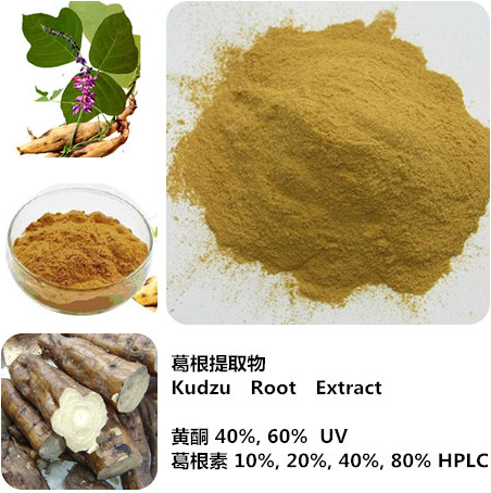 Organic kudzu root extract